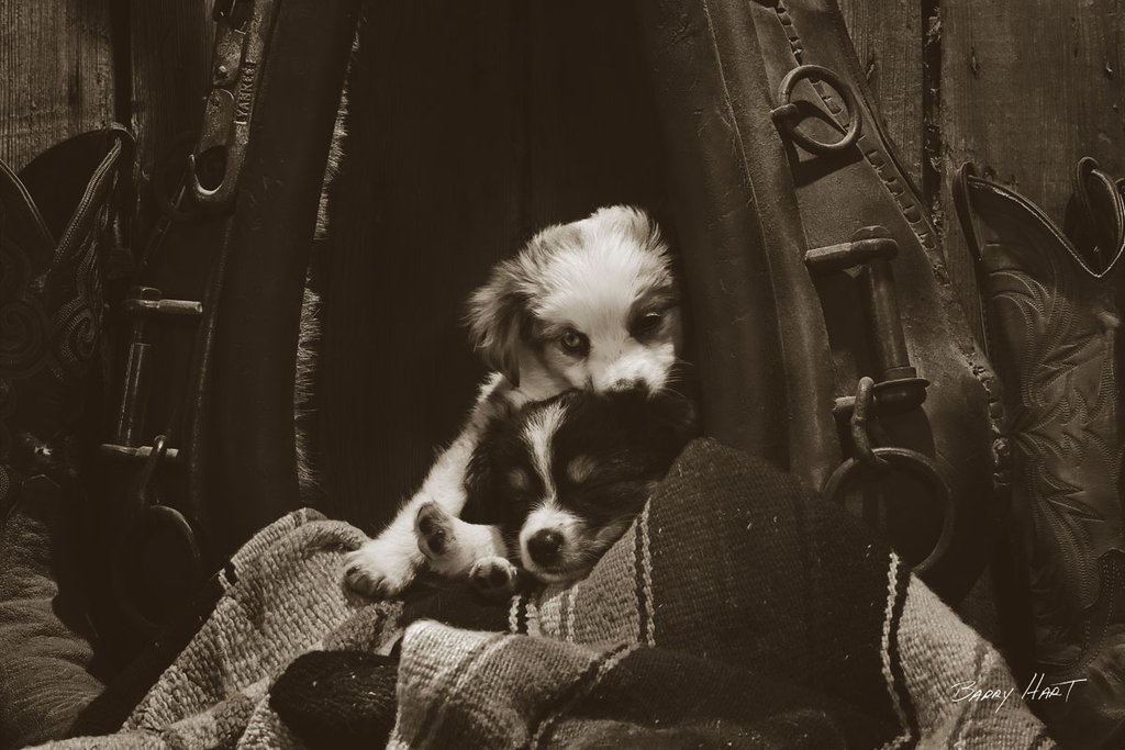He Ain't Heavy