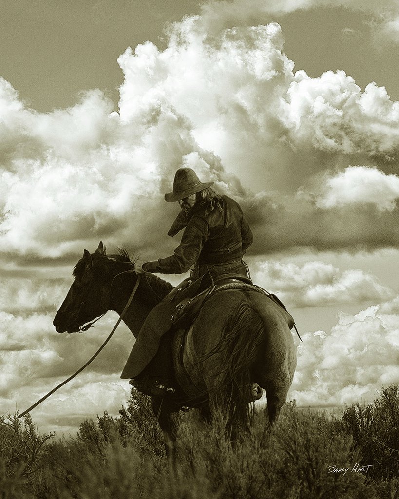 Colorado Cowboy