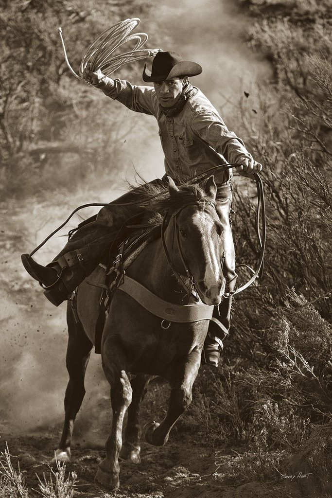 Trail Boss