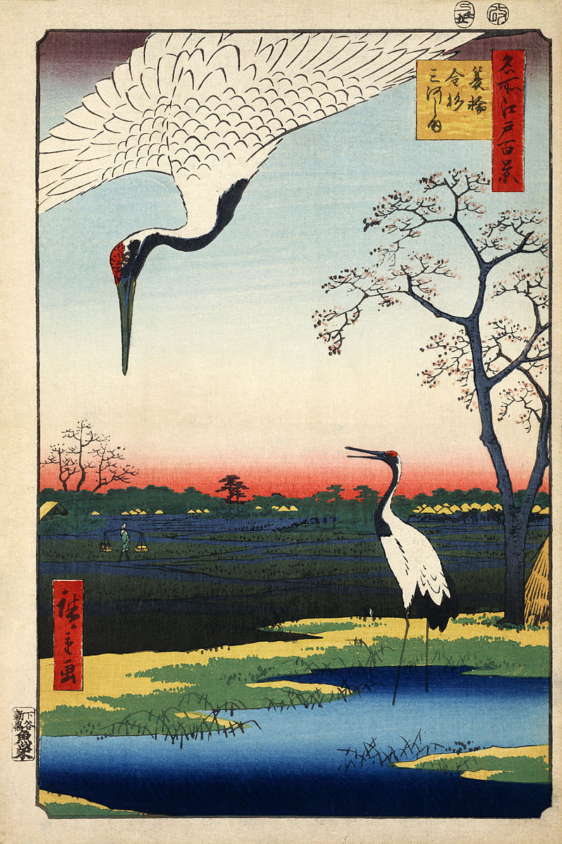 Minowa, Kanasugi, Mikawashima