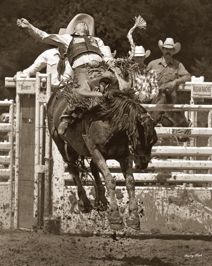 Rodeo !