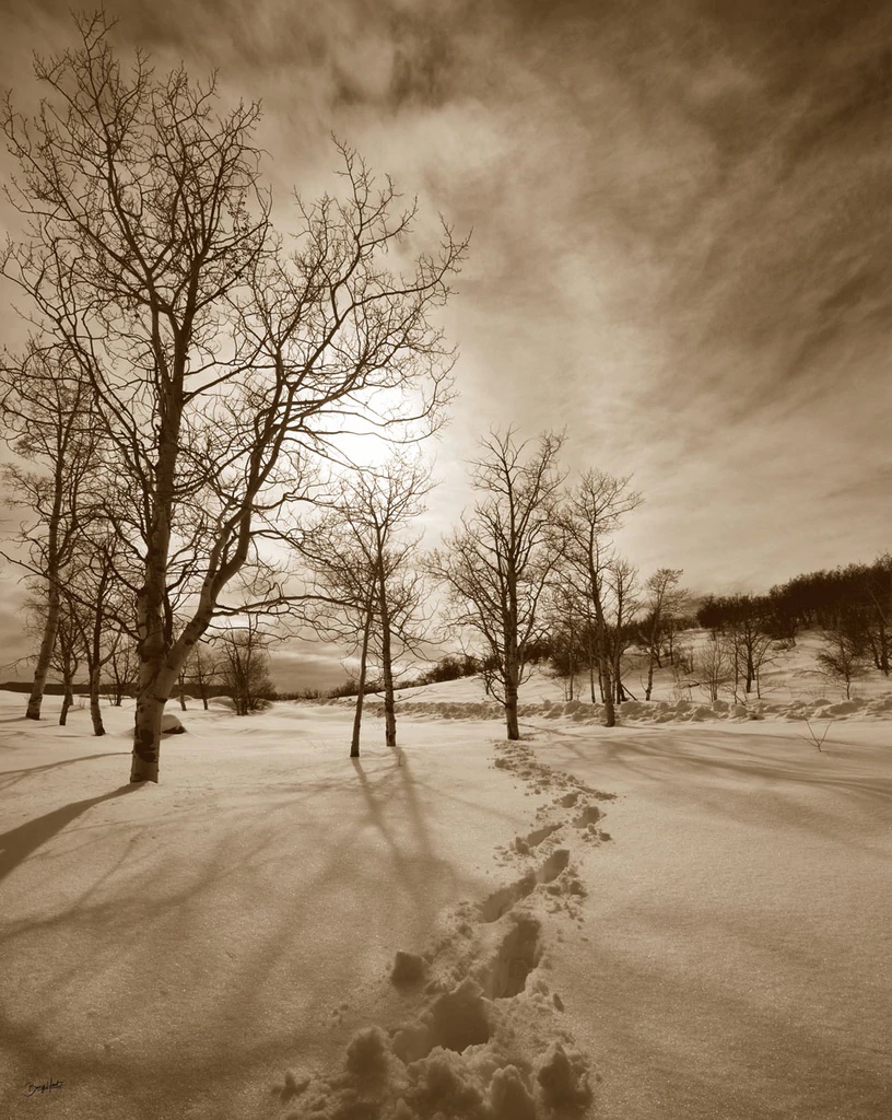 First Snow