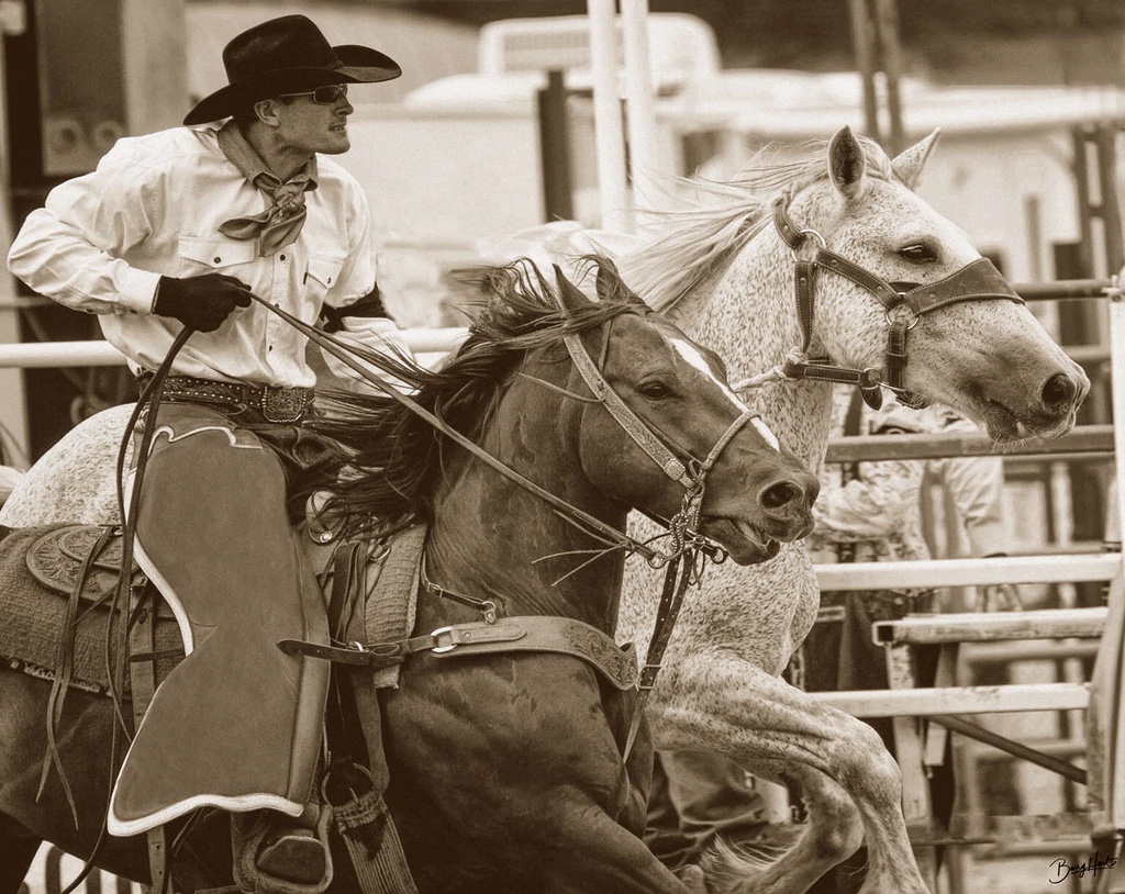 Out Rider