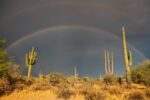 Arizona Rainbow