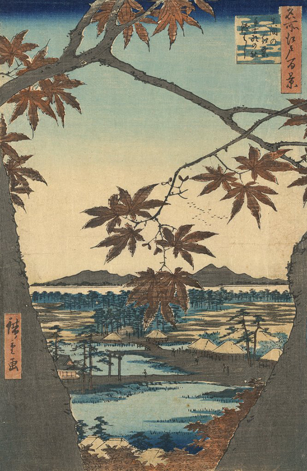 Bird's Eye View Through Maple Trees of the Tekona Shrine