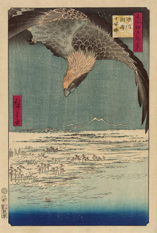 Hawk Flying Above a Snowy Landscape