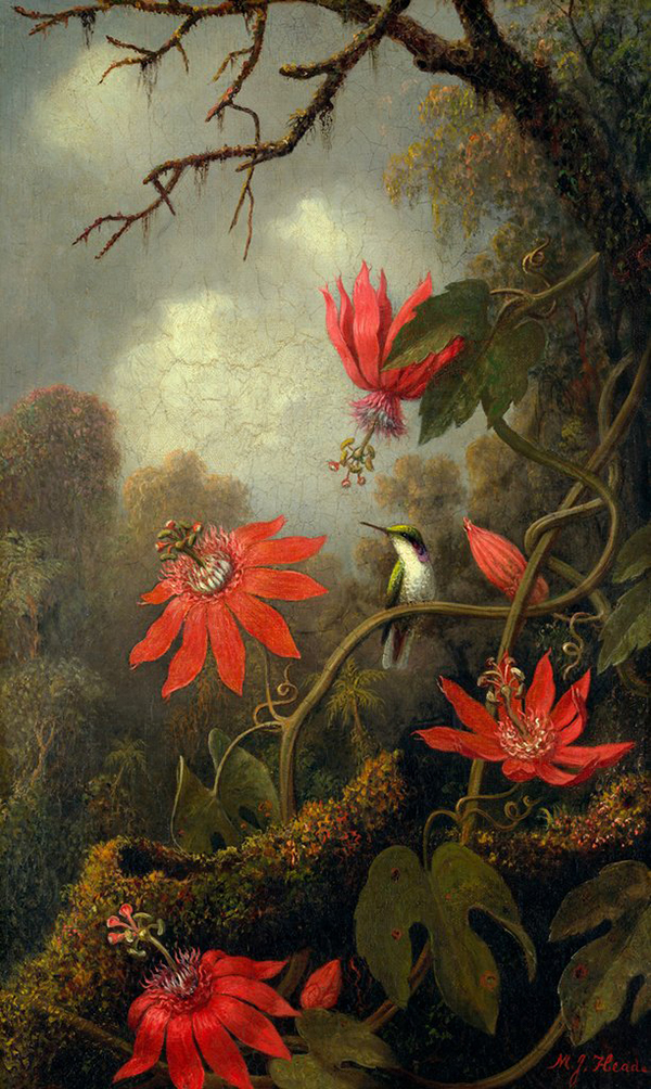Hummingbird and Passionflowers, c. 1875-85