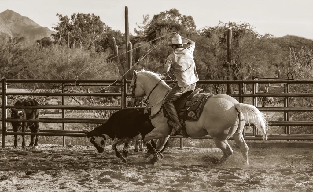 Ropin' Monte