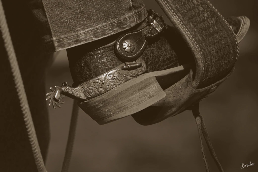 Logan Spur