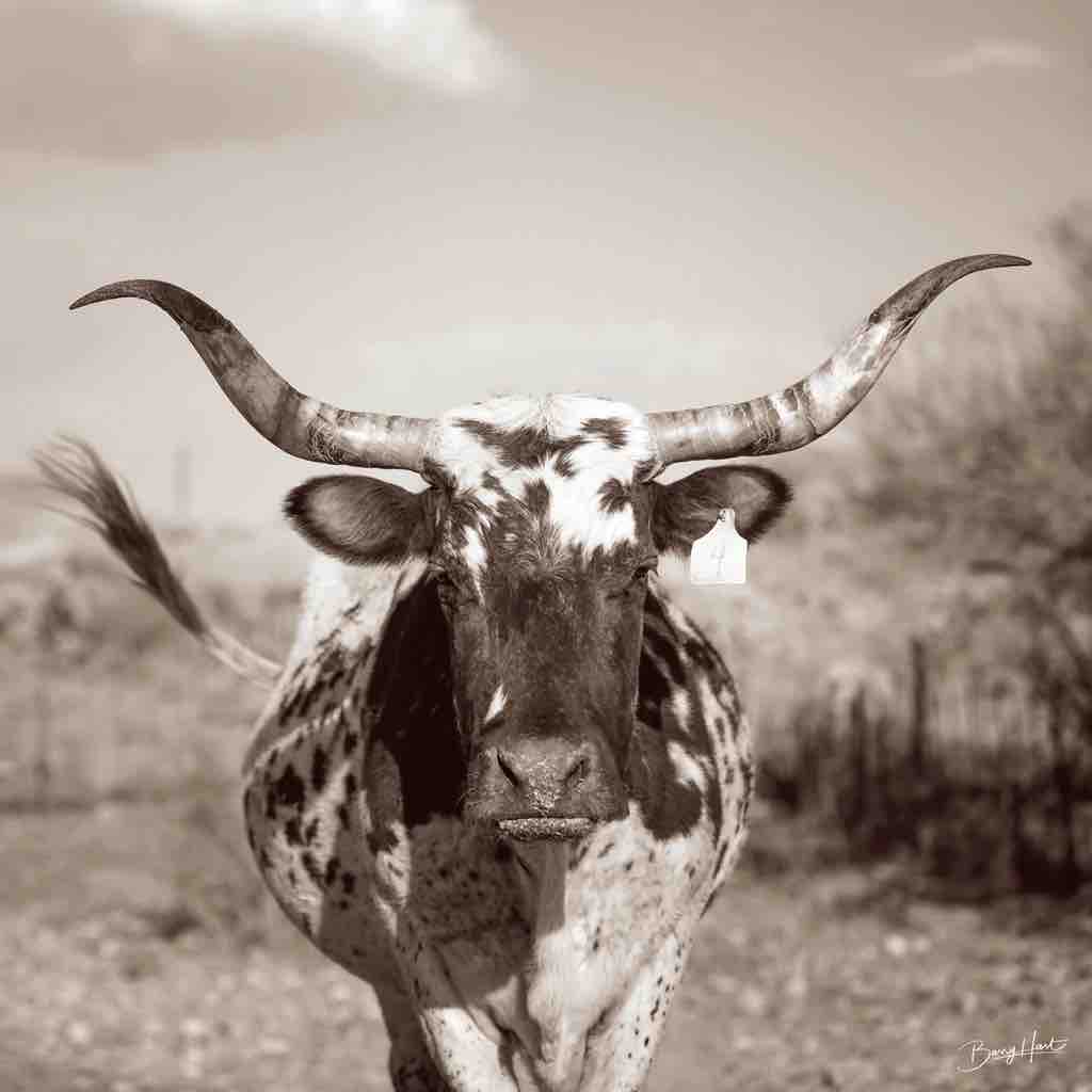 Number Four (sepia)