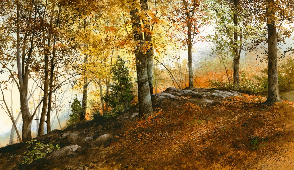Up In the Woods