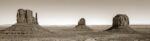 Monument Valley Panorama (sepia)