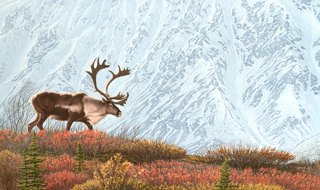 Ridge Runner