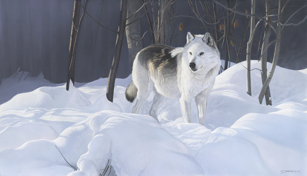 Winter Poise