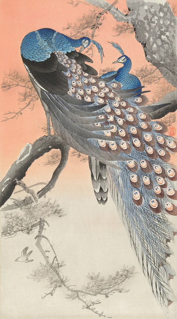 Two Peacocks On Tree Branch