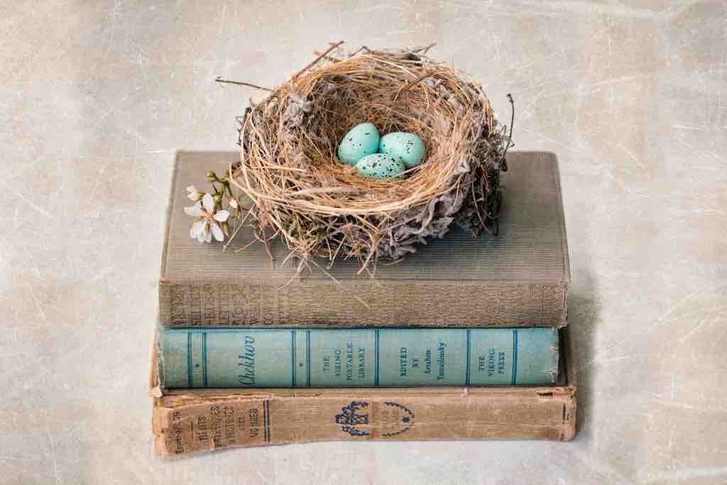 Nesting Phase
