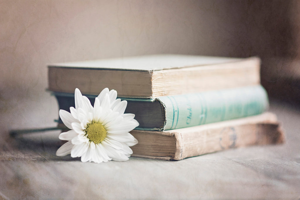 Book Worm