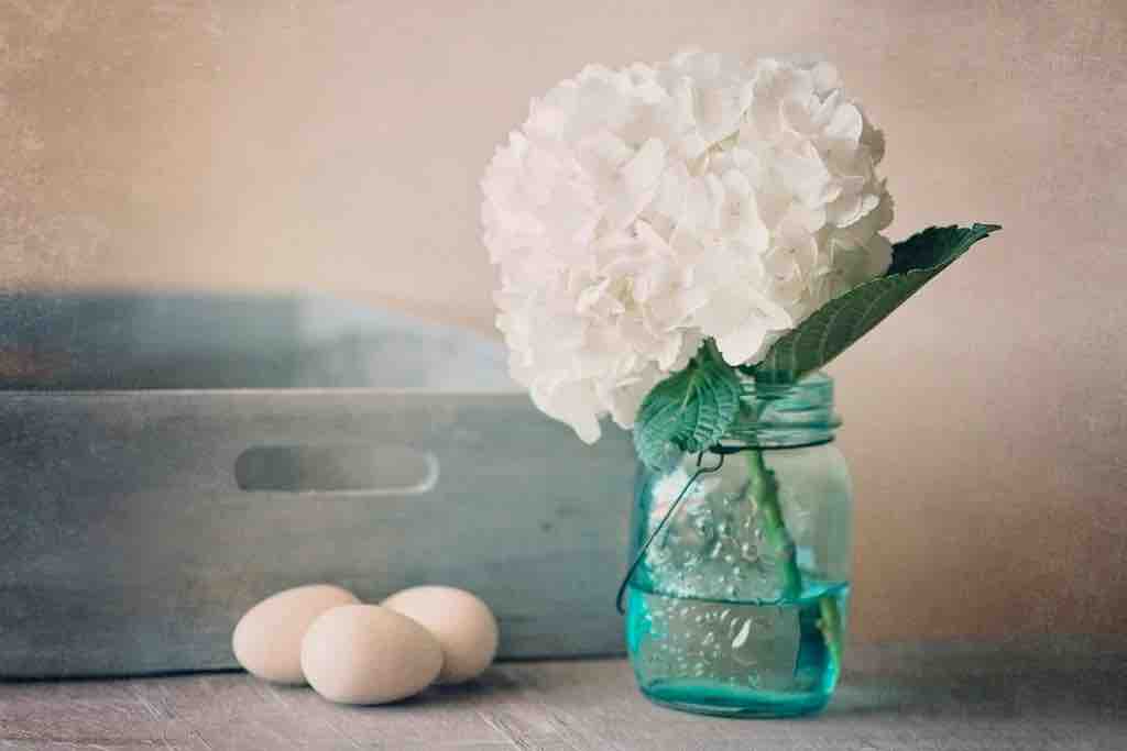 Antique Farmhouse