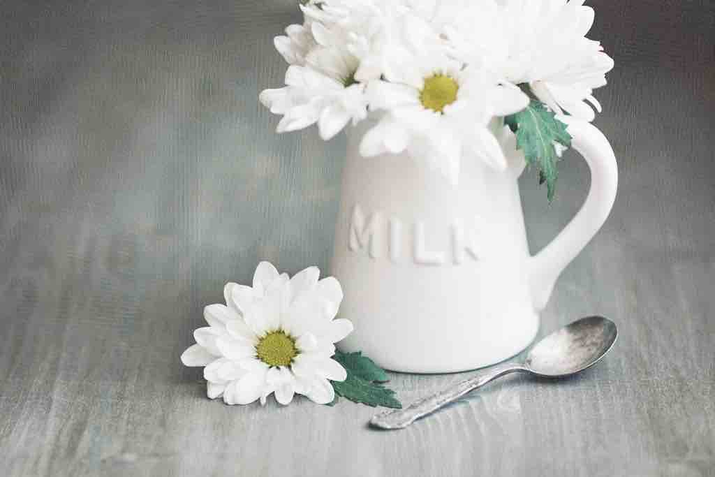 Milk Paint