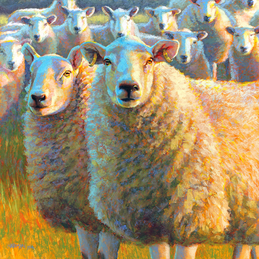 Pirate Sheep
