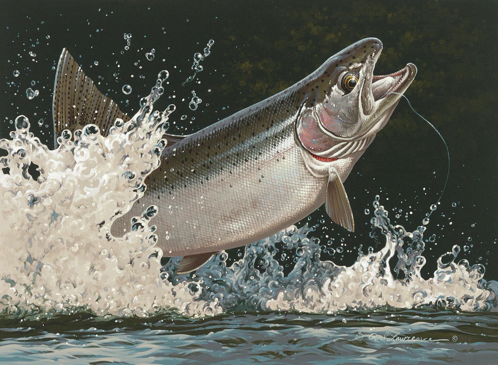Steelhead