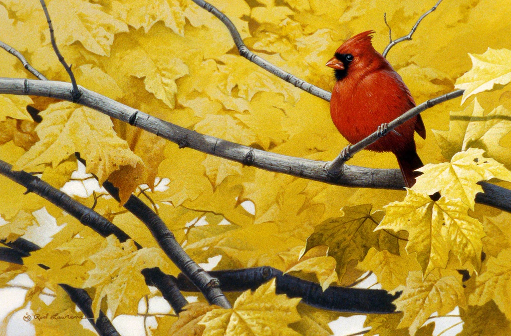 Autumn Red