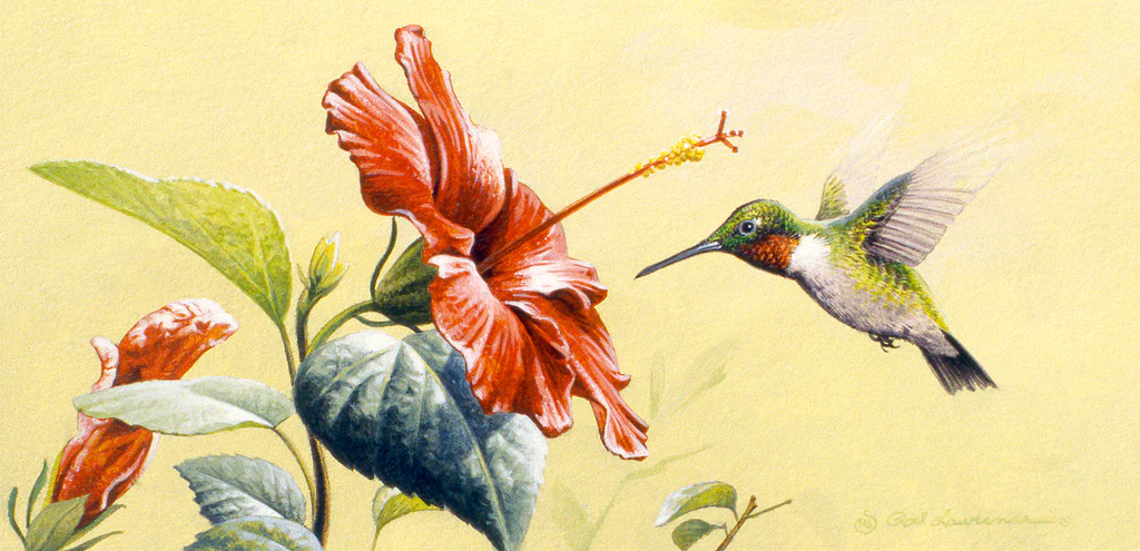Summer Hummer
