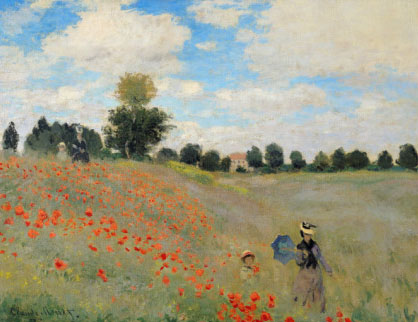 Wild Poppies
