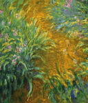 The Path in the Iris Garden