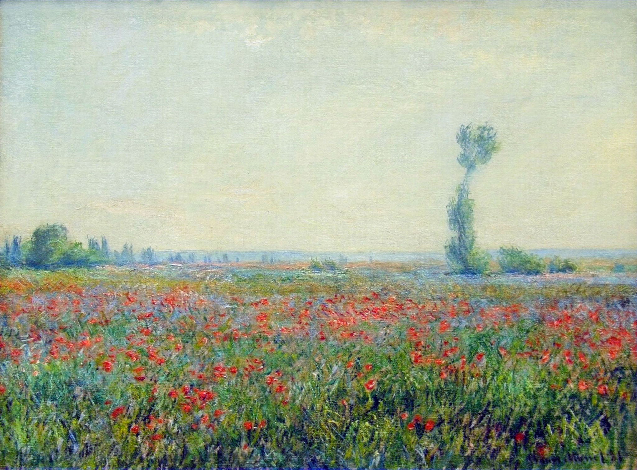 Poppy Field, 1881