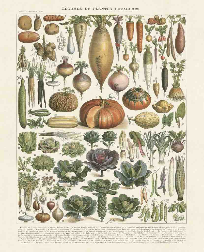 Legumes II