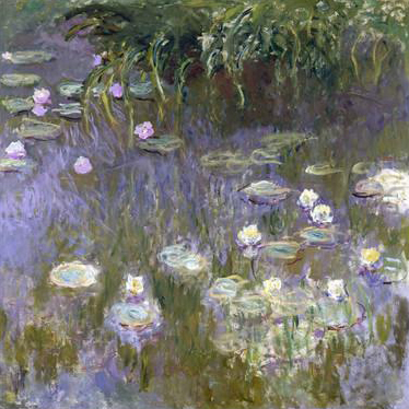 Water Lilies, 1922