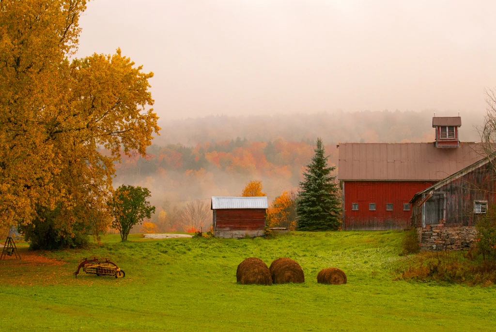The Old Homestead