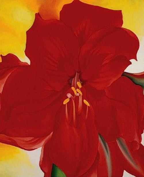 Red Amaryllis, 1937