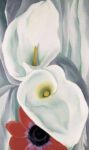 Calla Lilies with Red Anemone, 1928