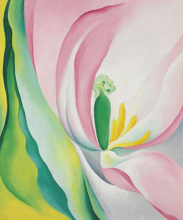 Pink Tulip, 1926