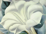 The White Flower (White Trumpet Flower), 1932