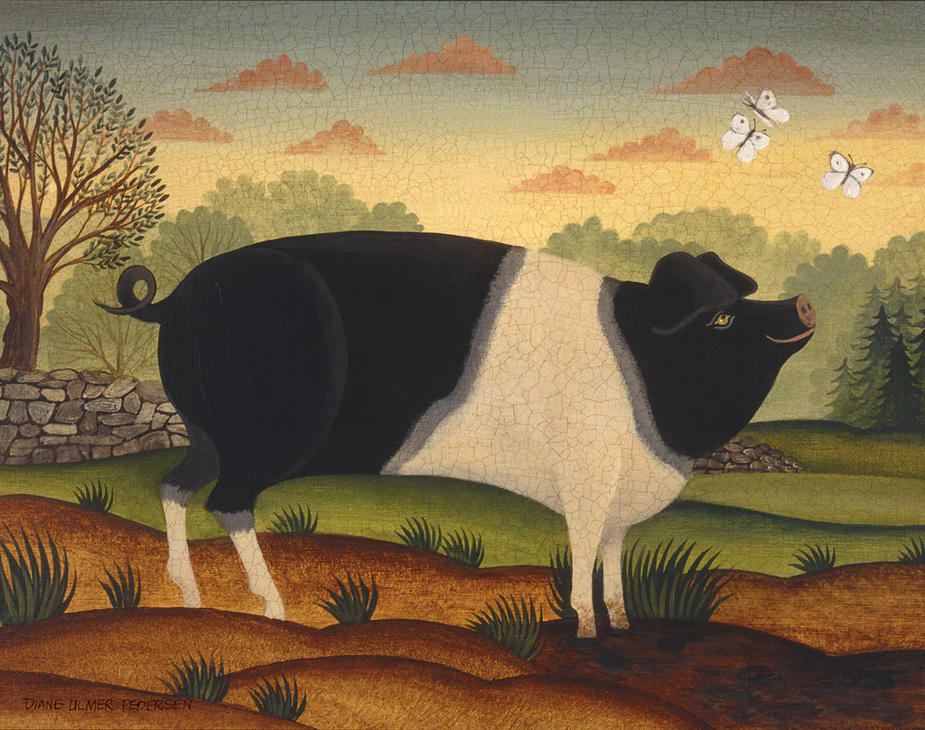 Pig