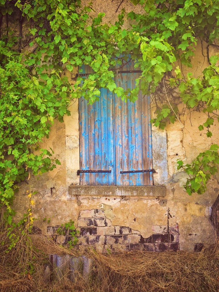 French Blue Shutter