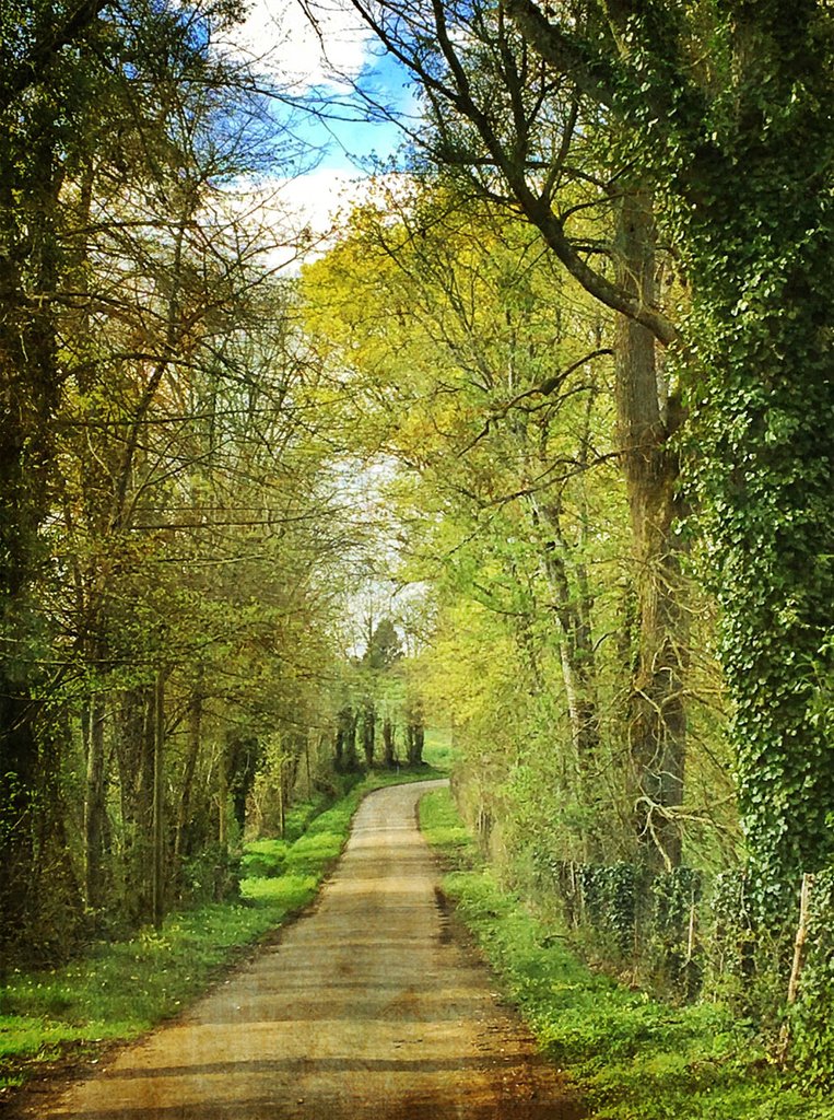 Springtime in Normandy