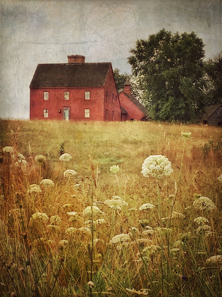 Windy River Farm