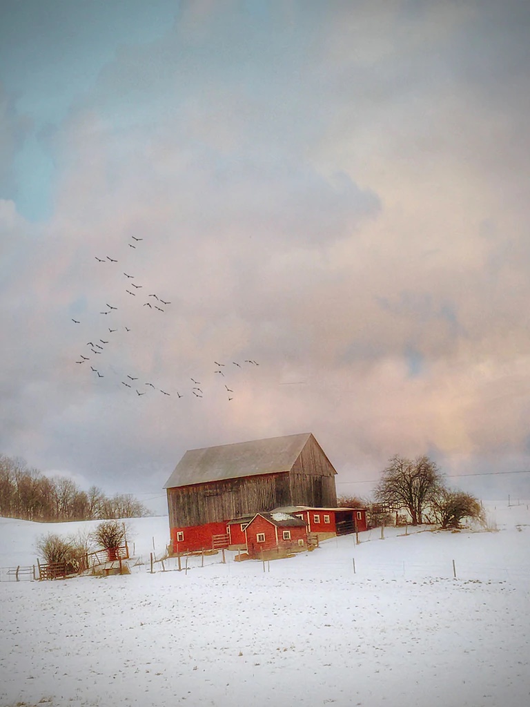 Route 52 Barn