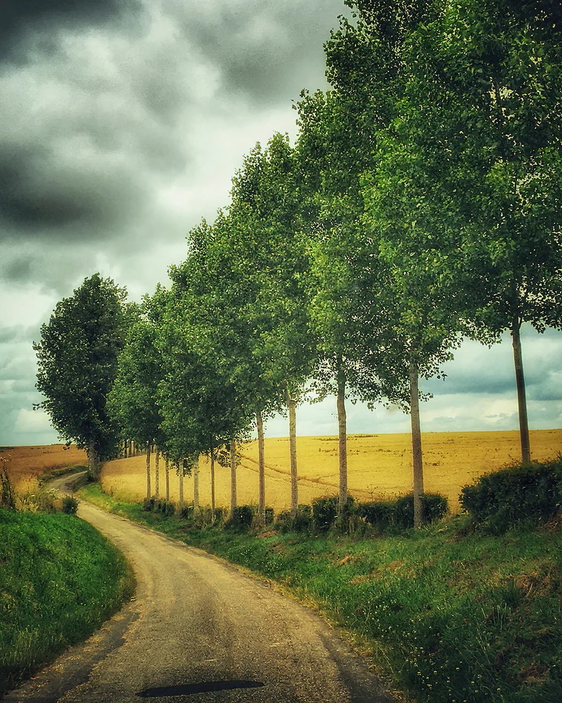 The Road To Ry