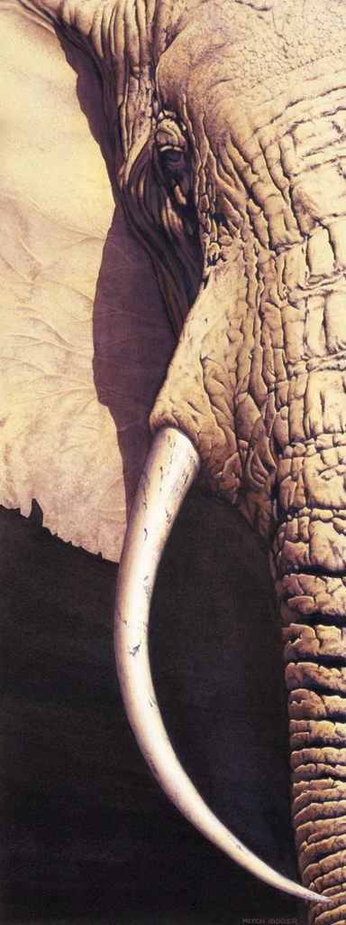 Tusk