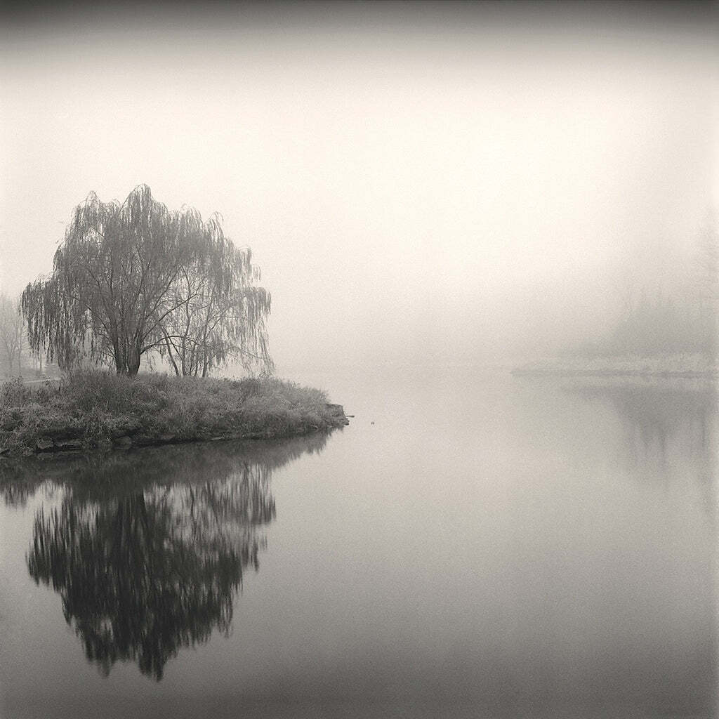 Tree, Study #9