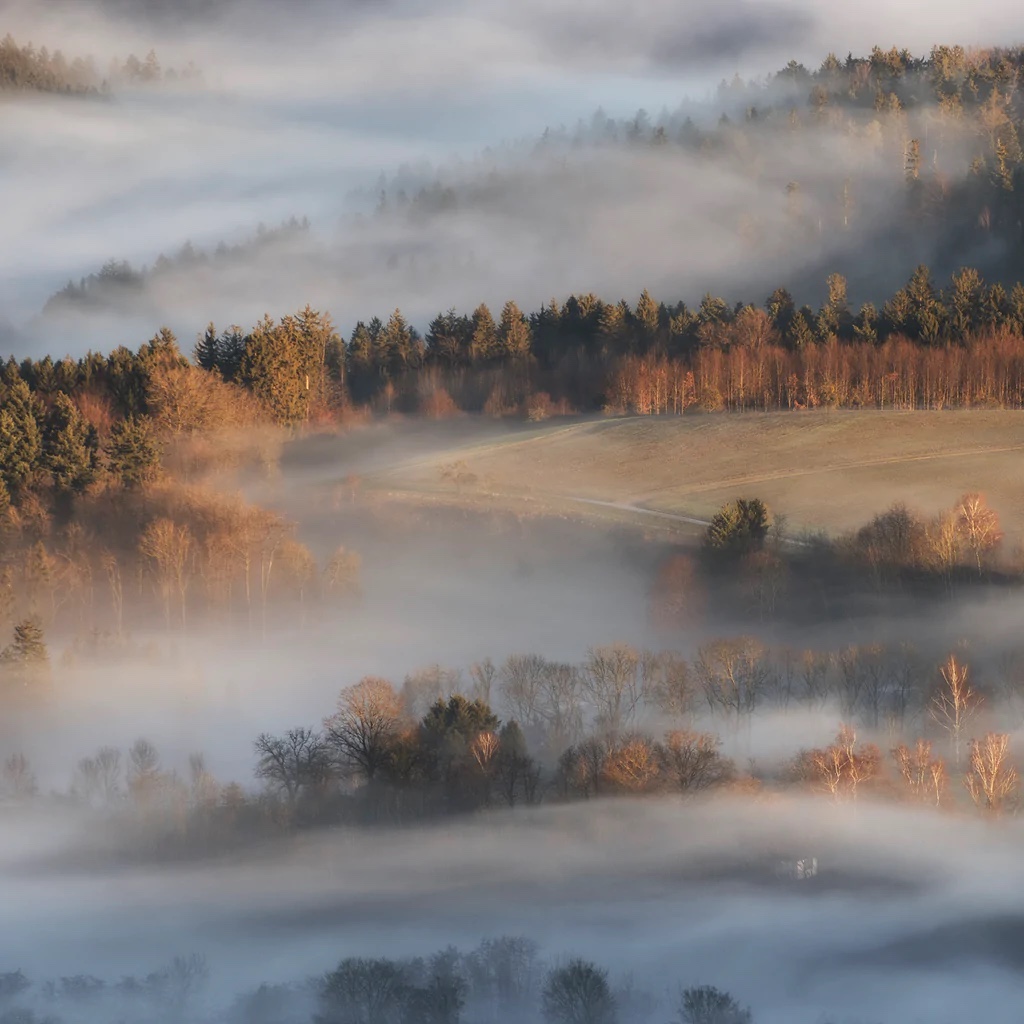 Reverie At Dawn