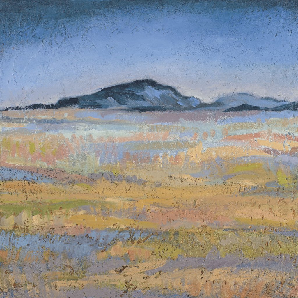 Field In Magical Light