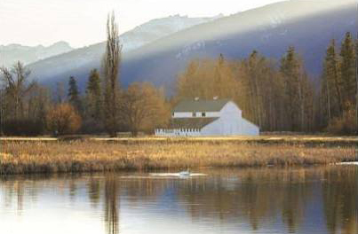 Montana Barn