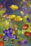Poppies and Pansies