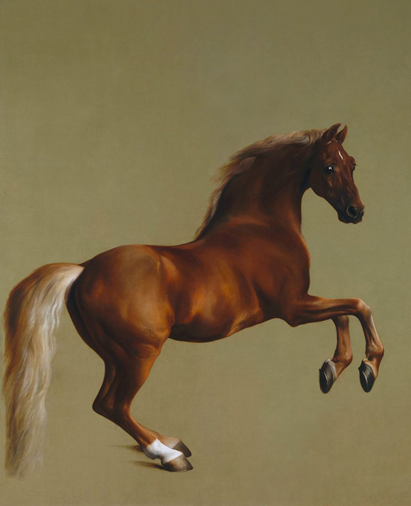 Whistlejacket